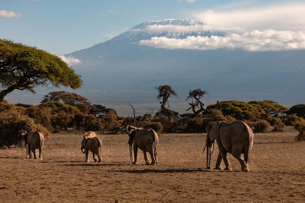 Kenya safari and beach, 6-day Kenya tour, Maasai Mara safari, Amboseli elephants, Watamu beach, Lake Nakuru flamingos, Kenya wildlife tour, multi-day safari package