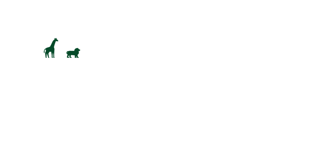 Tritium Safaris & Tours